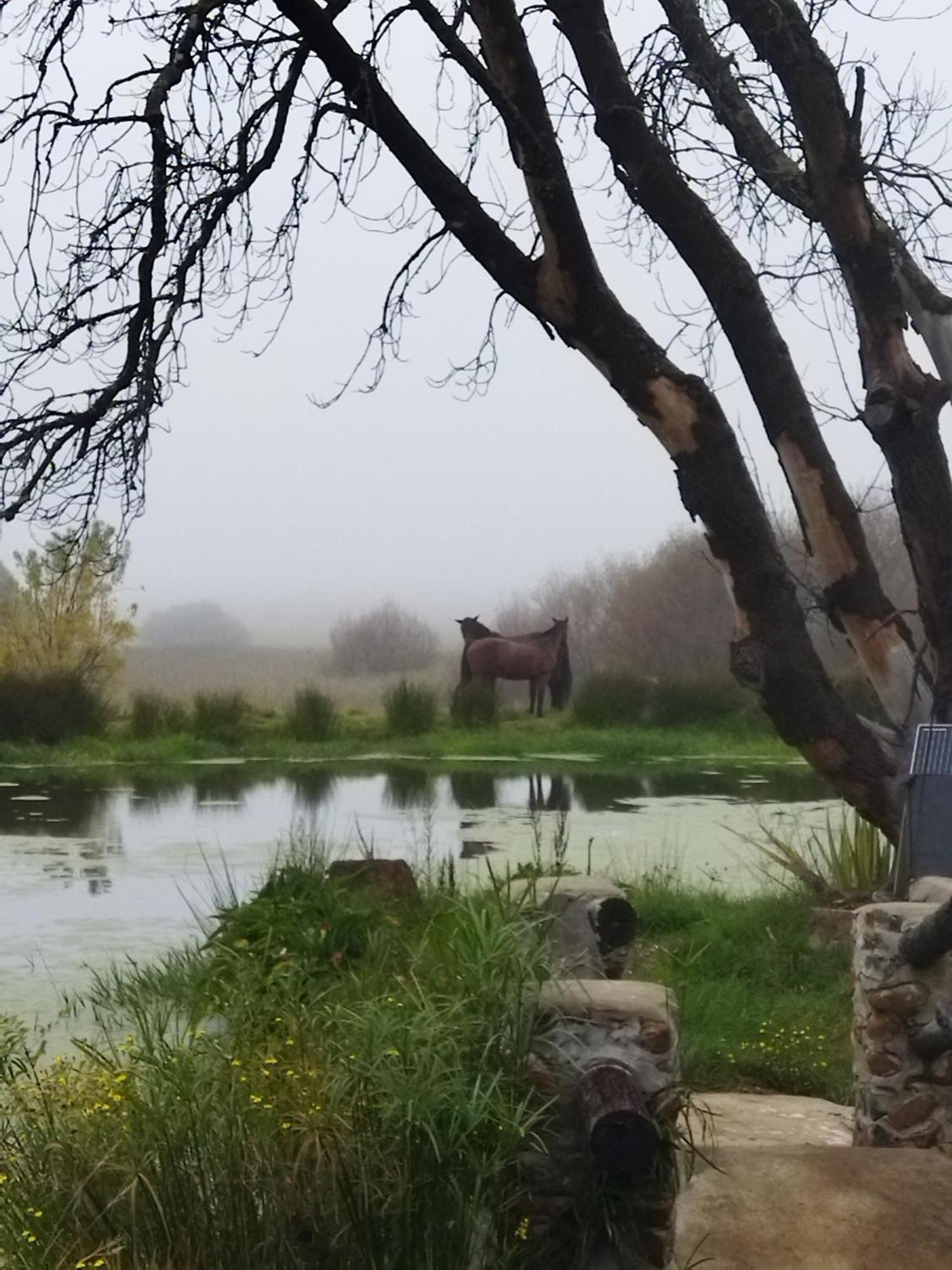 Hotel Flitwick Ranch Swartberg Exterior foto